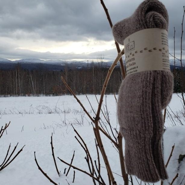 Alpine Alpaca Sock — natural undyed alpaca — Sullivan Ridge & Co.